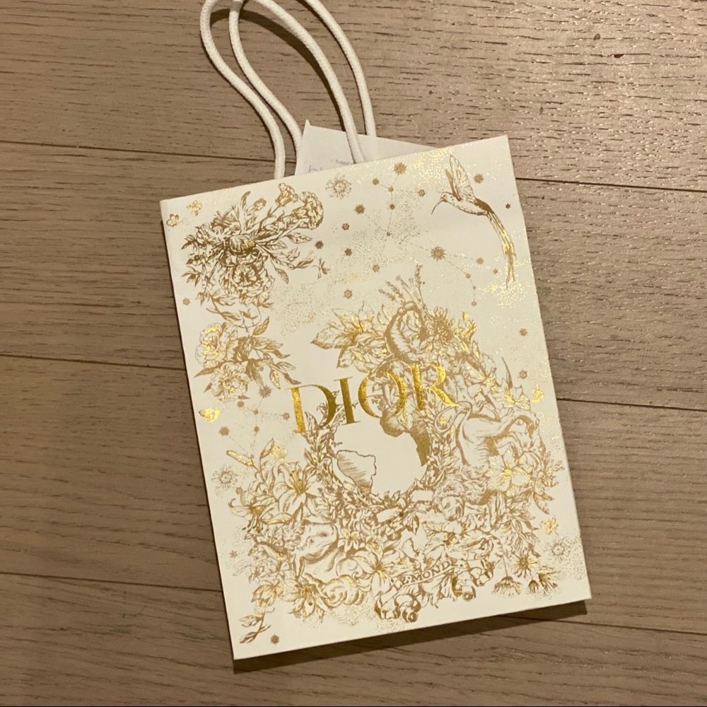 Dior paper bag